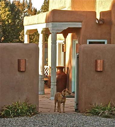 ext_patiodog